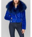 Mink Motor Jacket w/ Fox Collar & Hood in Royal Blue